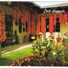 New Mexico Postcard Chili Peppers Favorite Food Brilliant Color