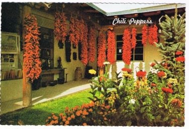 New Mexico Postcard Chili Peppers Favorite Food Brilliant Color