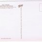 New Mexico Postcard Chili Peppers Favorite Food Brilliant Color