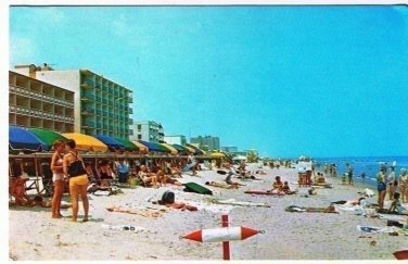 Virginia Beach Virginia Postcard Colorful Tourists