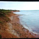 Prince Edward Island VINTAGE Postcard Shoreline Mike Roberts Use