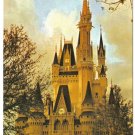 Florida Postcard Walt Disney Magic Kingdom Fantasyland Cinderella Castle