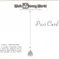Florida Postcard Walt Disney Magic Kingdom Fantasyland Cinderella Castle
