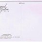 Kennett Square Pennsylvania Postcard Longwood Gardens Nightime Fountain