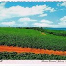 Prince Edward Island PEI Postcard Potato Field Red Soil