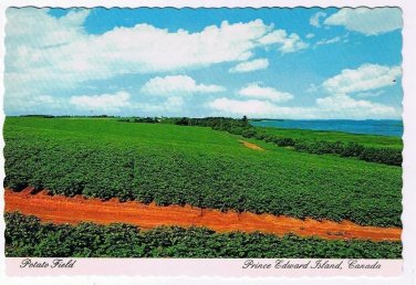 Prince Edward Island PEI Postcard Potato Field Red Soil