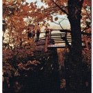 Collingwood Ontario Postcard Scenic Caves Blue Mountain Georgian Bay
