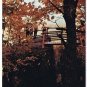 Collingwood Ontario Postcard Scenic Caves Blue Mountain Georgian Bay