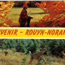 Quebec Postcard Rouyn Noranda Hunter and Deer