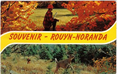 Quebec Postcard Rouyn Noranda Hunter and Deer