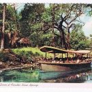 Florida Postcard Cypress Point Silver Springs Silver Queen Glass Bottom Boat
