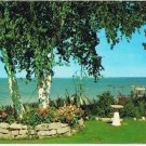 Little Falls Minnesota Postcard White Birch Trees Blue Lake