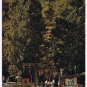 Germany Postcard Altenahr Ahrtal Seilbahn Talstation Cable Car Station
