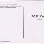 Florida Postcard St Petersburg Brown Pelican Pen & Ink William Correira