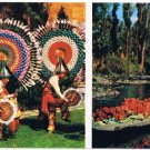 Mexico Postcard Xochimilco Feather Dances Danzantes de la Pluma