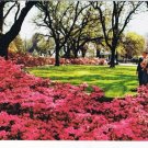 Alabama Postcard Mobile Azalea Time General Braxton Bragg Home