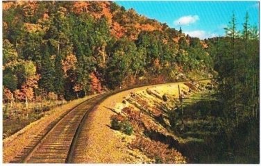 Sault Ste Marie Ontario Postcard Autumn Colours on Agawa Train Tour