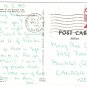 Florida Postcard Branch Of Orange Tree Branch & Bearing Fruit