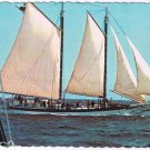 Maine Postcard Camden Schooner Stephen Taber