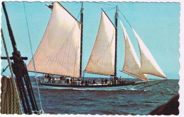 Maine Postcard Camden Schooner Stephen Taber
