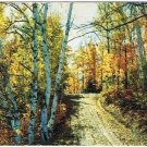 McIntosh Ontario Postcard Autumn Country Road