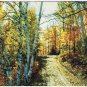 McIntosh Ontario Postcard Autumn Country Road