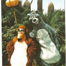 Florida Postcard Walt Disney Magic Kingdom Baloo King Louie Adventureland