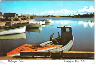 Prince Edward Island PEI Postcard Malpeque Cove Cabot Park Camping Area