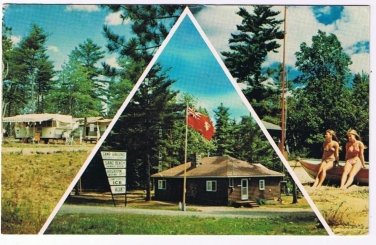 Ontario Postcard Lake Huron Pine Crest Tent & Trailer Park