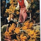 France Postcard Cueillette de Mimosas Exporail 78