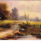 Art Postcard Stratford Ontario Turn Of The Road 1909 VINTAGE