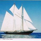 Bluenose II Postcard Pride Of Nova Scotia Sailing Ship
