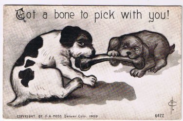 Comic Postcard F A Moss Got A Bone To Pick Artist Signed 1909