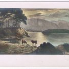 Art Postcard Friars Crag Abraham Lake Trees Mountain Cows