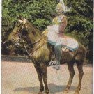 Shurley's Magazine Postcard Sargeant Major 2nd Life Guards Photo by Knight