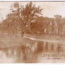 Springtime Postcard by Scheuer Sepia Toned Postmarked Charlottetown PEI 1909