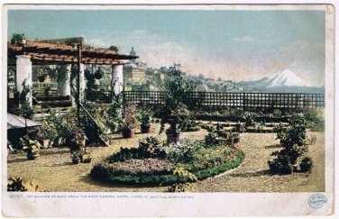 Seattle Mt Rainier Postcard Roof Garden Hotel Lincoln