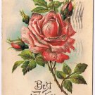 Greeting Postcard Embossed Red Rose Postmark Albany NY 1908