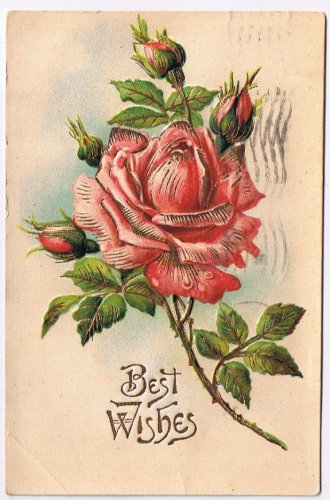 Greeting Postcard Embossed Red Rose Postmark Albany NY 1908