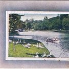1919 Postcard Geese Canoe People On Lake Embossed Edge Of Picture
