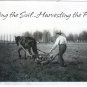 Art Postcard Reuben Sallows Gallery Tilling The Soil Harvesting The Past
