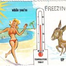 Comic Postcard Florida Suntanning Freezing Ass