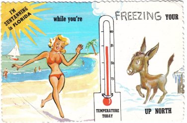 Comic Postcard Florida Suntanning Freezing Ass