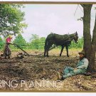 Comic Postcard Hillbilly Spring Planting