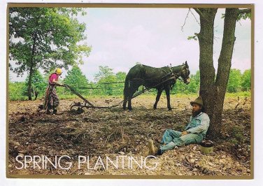 Comic Postcard Hillbilly Spring Planting