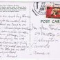 Postcard Tobacco Auction Time In Eastern North Carolina