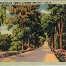Postcard Greetings From Sierra Madre California