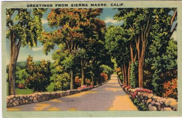 Postcard Greetings From Sierra Madre California