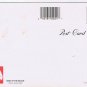 Postcard Best Of The Beach Risque Bathing Beauty Gulf Stream Card