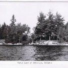 Ontario Postcard RPPC Maple Lake Near Orrville Ontario